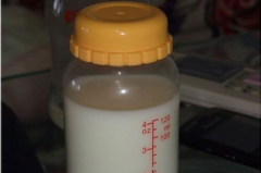 小学生怎么挤出牛奶,小学生挤牛奶的趣味实践教程