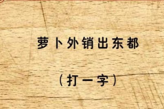 五双(打一字)