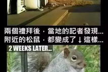七夕搞笑段子冷幽默,趣味横生的搞笑段子集锦