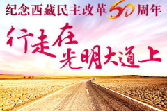 走在上面,走在科技前沿的创新之路概述”