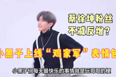 蔡徐坤小黑子专用表情包,揭秘网络恶搞背后的文化现象