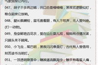 字谜大全及谜底,汉字智慧与谜底之旅