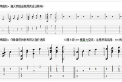 一指弹私密,揭秘指尖上的音乐魅力