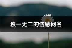 独一无二的网名